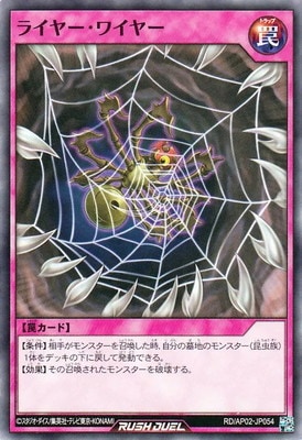 RD/AP02-JP054 �饤�䡼���磻�䡼