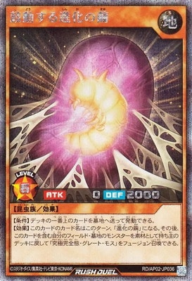 RD/AP02-JP036 ��ư����ʲ������ڥ�������åȥ쥢��