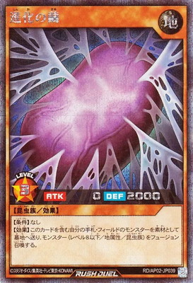 RD/AP02-JP039 �ʲ������ڥ�������åȥ쥢��