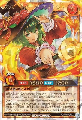 RD/AP02-JP022 ���ѡ����ϡ��ġ����ͥå���ڥ����С���å���쥢��