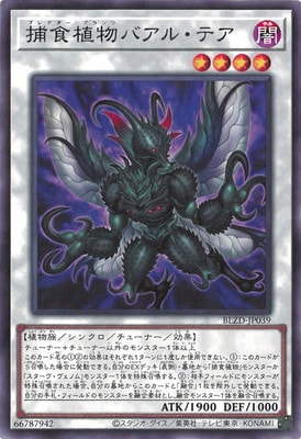 ��13��/04��/BLZD-JP039 �Ῡ��ʪ�Х��롦�ƥ�