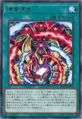��13��/04��/BLZD-JP055 �Ῡ���� R