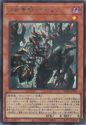 ��13��/04��/BLZD-JP027 ���εɱ�ɥ饻�쥢�ڥ�������åȥ쥢��