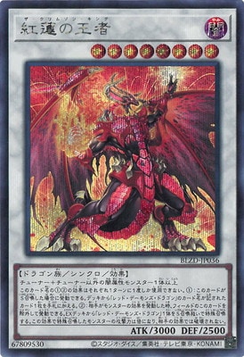 ��13��/04��/BLZD-JP036 ��ϡ�β��ԡڥ�������åȥ쥢��