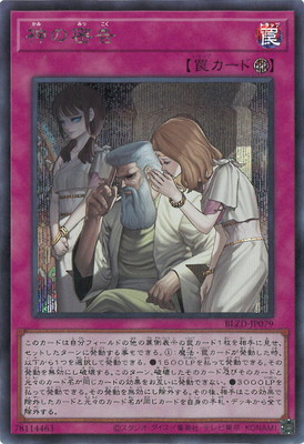 ��13��/04��/BLZD-JP079 ����̩��ڥ�������åȥ쥢��