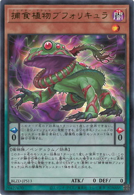 ��13��/04��/BLZD-JPS13 �Ῡ��ʪ�֥ե��ꥭ���ڥ���ȥ�쥢��