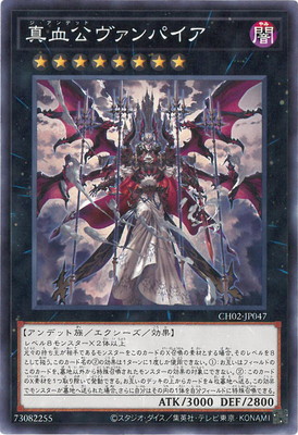 ��13��/CH02-JP047 �����������ѥ���