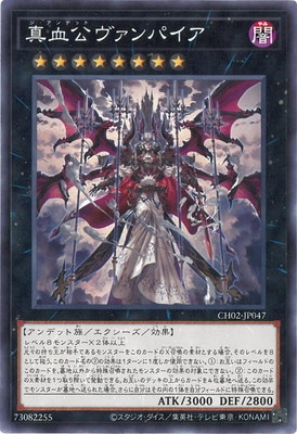 ��13��/CH02-JP047 �����������ѥ���