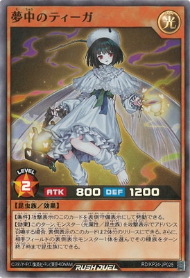 RD/KP24-JP025 ̴��Υƥ������ڥ����ѡ��쥢��