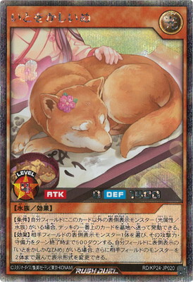 RD/KP24-JP020 ���Ȥ򤫤����̡ڥ�������åȥ쥢��