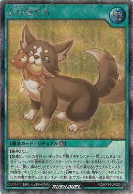 RD/KP24-JP050 ����ͧ�����ڥ�������åȥ쥢��