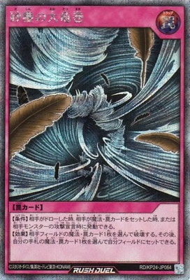 RD/KP24-JP064 ���Ф���ε���ڥ�������åȥ쥢��