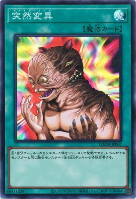 ��13��/LOCH-JP067 �����Ѱۡڥ����ѡ��쥢��