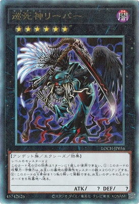 ��13��/LOCH-JP056 �����꡼�ѡ��ڥ���ƥ���åȥ쥢��