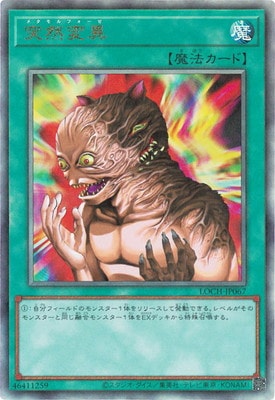 ��13��/LOCH-JP067 �����Ѱۡڥ���ƥ���åȥ쥢��