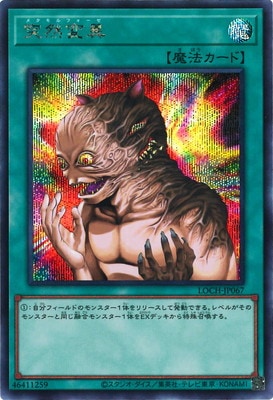 ��13��/LOCH-JP067 �����Ѱۡڥ�������åȥ쥢��