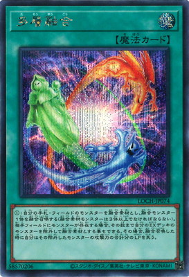 ��13��/LOCH-JP074 ¿��ͻ��ڥ�������åȥ쥢��