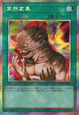 ��13��/LOCH-JP067 �����Ѱۡڥץꥺ�ޥƥ��å���������åȥ쥢��