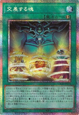 ��13��/LOCH-JP076 �򺹤��뺲�ڥץꥺ�ޥƥ��å���������åȥ쥢��