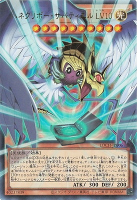 ��13��/LOCH-JP006 �ϥͥ���ܡ������Хƥ����� �̣֣����ڥ����С��ե졼��ۡڥ���ȥ�쥢��