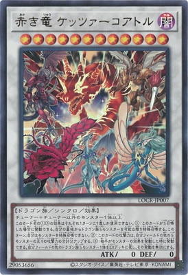 ��13��/LOCR-JP007 �֤�ε ���åĥ��������ȥ�ڥ���ȥ�쥢��