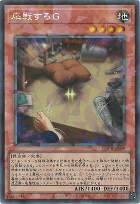 ��13��/LOCR-JP048 ���魯��ǡڥ��쥯�������쥢��