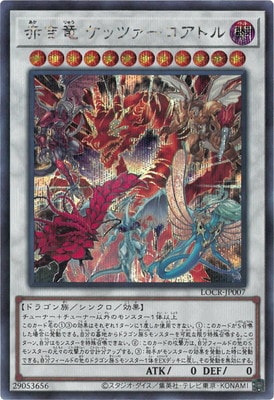 ��13��/LOCR-JP007 �֤�ε ���åĥ��������ȥ�ڥ�������åȥ쥢��