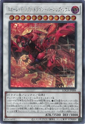 ��13��/LOCR-JP008 ��������åɡ��Υ������ɥ饴��ݥС��˥󥰡�������ڥ�������åȥ쥢��