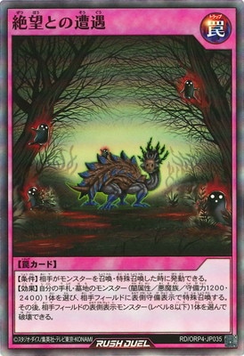 RD/ORP4-JP035 ��˾�Ȥ������ڥ����ѡ��쥢��