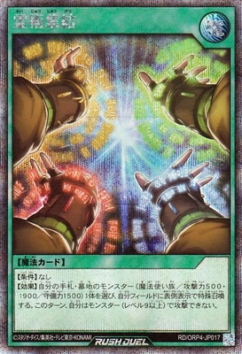 RD/ORP4-JP017 ��ѽ���ڥ�������åȥ쥢��