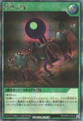 RD/ORP4-JP032 ��˾�ε��ڥ�������åȥ쥢��