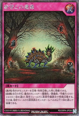 RD/ORP4-JP035 ��˾�Ȥ������ڥ�������åȥ쥢��