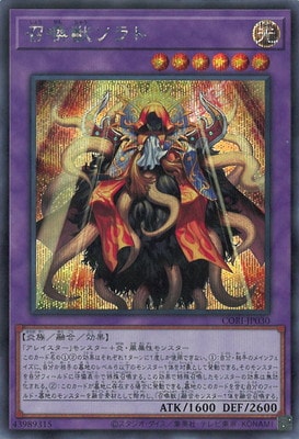 ��13��/05��/CORI-JP030 �����å���ȡڥ�������åȥ쥢��