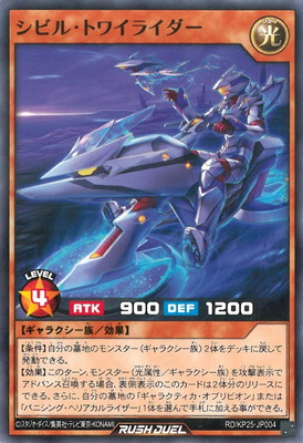 RD/KP25-JP004 ���ӥ롦�ȥ磻�饤����