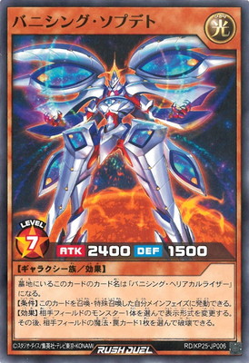 RD/KP25-JP006 �Х˥��󥰡����ץǥ�