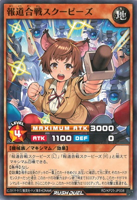 RD/KP25-JP008 ��ƻ���凉�����ԡ���