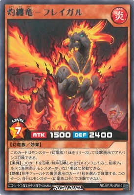 RD/KP25-JP019 ��Żε�ݥե쥤���� R