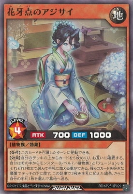 RD/KP25-JP029 �ֲ����Υ��������ڥ����ѡ��쥢��