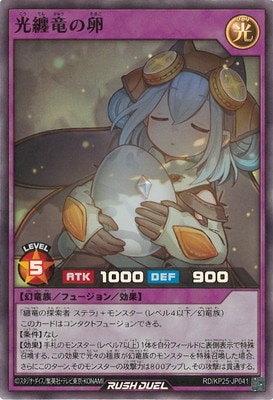 RD/KP25-JP041 ��Żε����ڥ����ѡ��쥢��