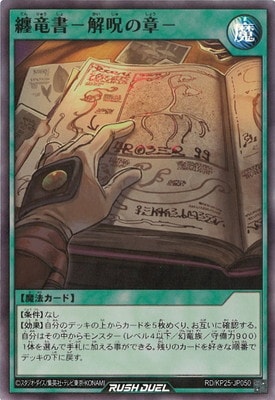 RD/KP25-JP050 Żε��ݲ���ξϡݡڥ����ѡ��쥢��