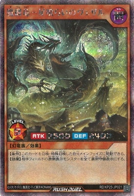 RD/KP25-JP021 ��Żε�������餤�Υ�������ڥ�������åȥ쥢��