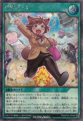 RD/KP25-JP049 �泰�С���ڥ�������åȥ쥢��