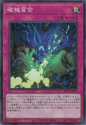 ��13��/RV01-JP053 �˳�����ڥ����ѡ��쥢��