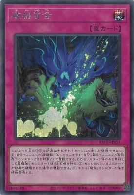 ��13��/RV01-JP053 �˳�����ڥ�������åȥ쥢��