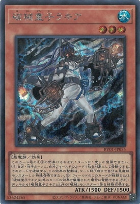 ��13��/RV01-JP055 �˳�Ƹ�ҥ饭���ڥ�������åȥ쥢��