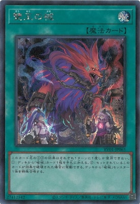 ��13��/RV01-JP065 �ֲ��γ��ڥ�������åȥ쥢��