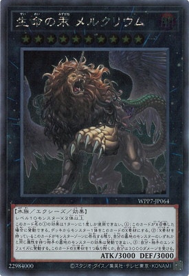 ��13��/WPP7-JP064 ��̿���� ��륯�ꥦ��ڥ�������åȥ쥢��