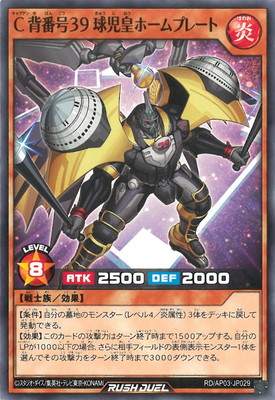RD/AP03-JP029 �����ֹ棳�� ����ĥۡ���ץ졼��