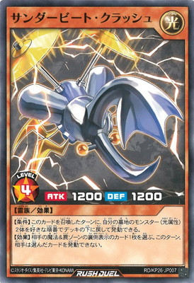 RD/KP26-JP007 ��������ӡ��ȡ�����å���
