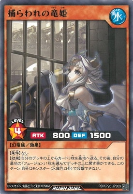 RD/KP26-JP009 ������εɱ R